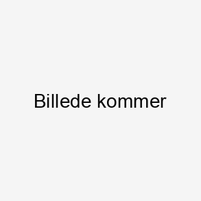 King Tut - ensfarvede